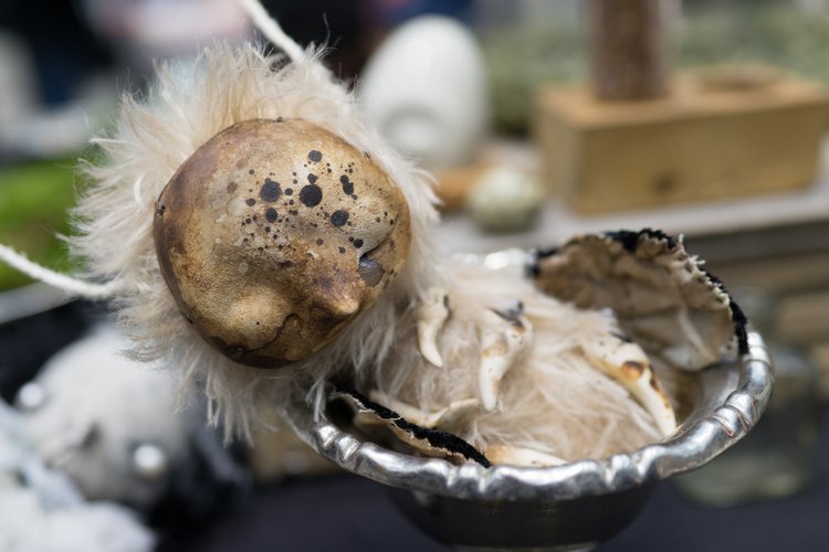 Искусство куклы. VIII Моcковская международная выставка. Декабрь 2017. Часть 2 | Бэйбики Искусство куклы. VIII Моcковская международная выставка. Декабрь 2017. Часть 2