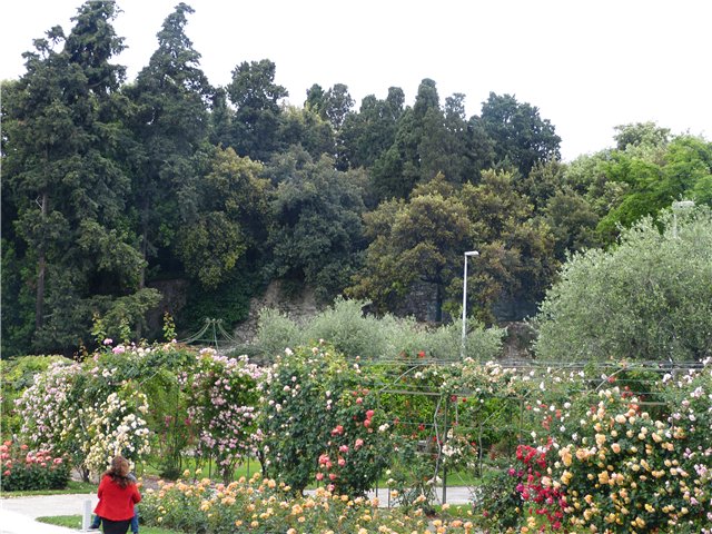 Мои фотозарисовки Лазурного берега Франции (фото 10)