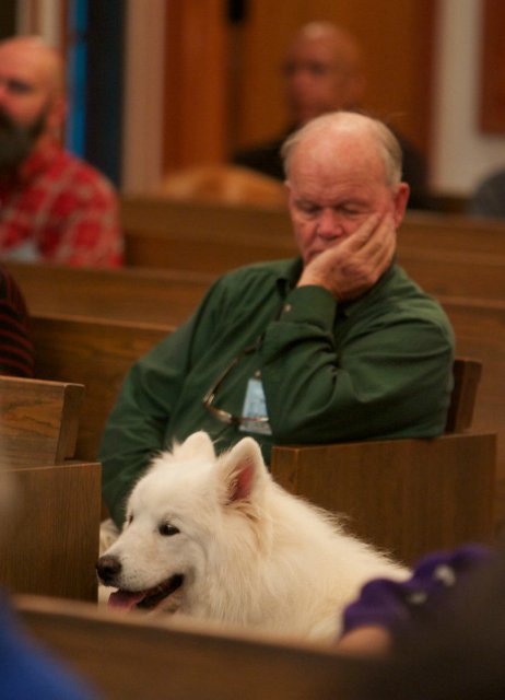 Мне вслед глядит душа кошачья... 4 октября - день памяти святого Франциска и Международный день животных