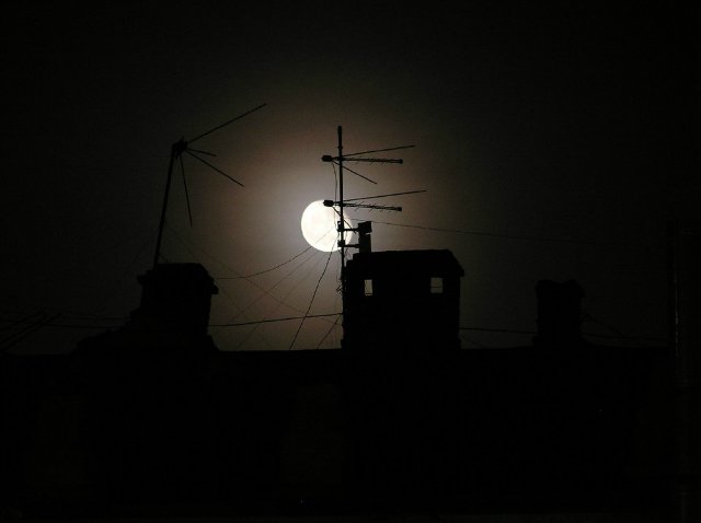 8 жизней. Фарфоровая кукла Angela McNeely от Ruby Doll | Бэйбики 8 жизней. Фарфоровая кукла Angela McNeely от Ruby Doll