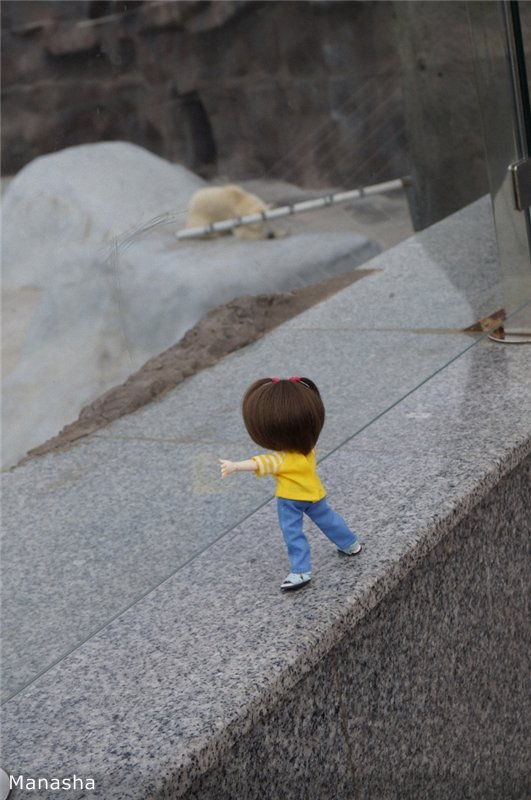 Как Майка в зоопарк ходила. pukiFee Ante Fairyland | Бэйбики Как Майка в зоопарк ходила. pukiFee Ante Fairyland