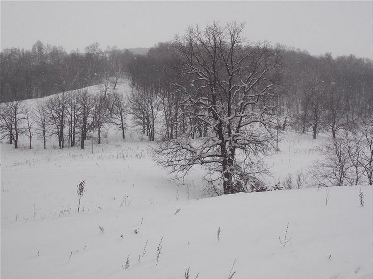 Тропинки Куш - Тау или Варваркины выходные (фото 6)