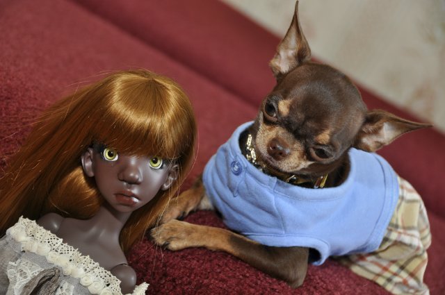 Мое шоколадное счастье! Тоби дарк тан и Инфинити (фото 10)