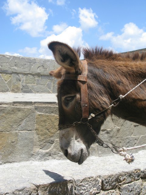 Кусочки моей Греции — Болталка и разговоры обо всем: жизнь