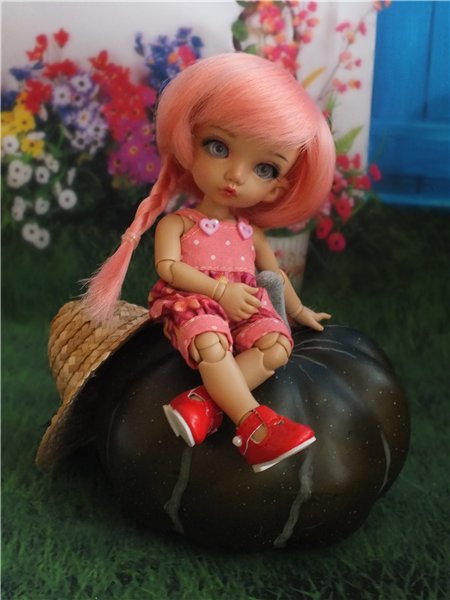 В огород, за урожаем — Куклы Fairyland (ФэйриЛэнд): BJD (БЖД) (фото 7)