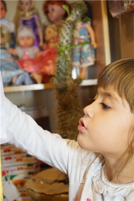 А мы играем в куклы — Куклы Barbie (Барби): Looks (фото 4)