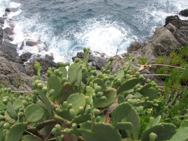 Моя Италия. Часть 2 - Леванто, Манарола