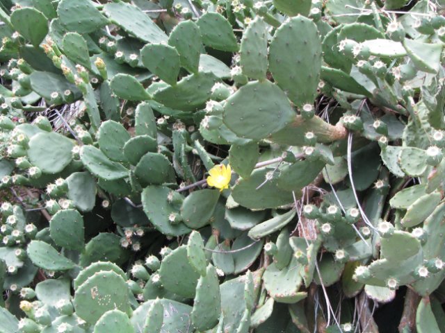 Моя Италия. Часть 2 - Леванто, Манарола