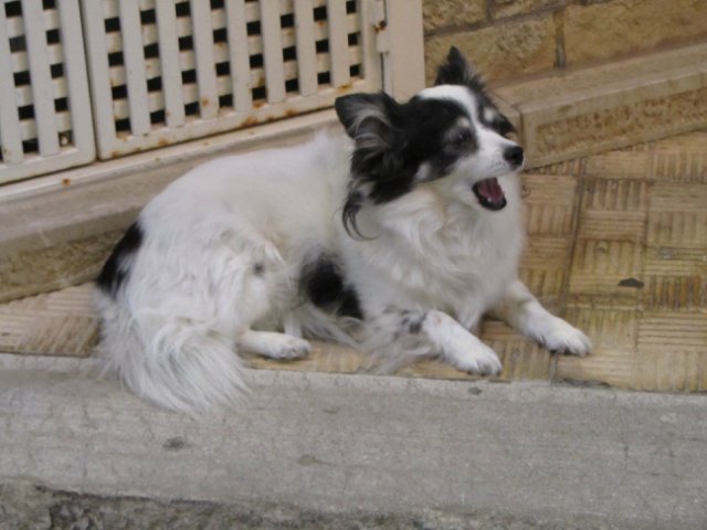 "Моя Италия". Часть 6 - Сан-Марино