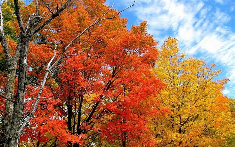 Без восьми осень | Бэйбики Без восьми осень — Куклы Paola Reina (Паола Рейна): новинки (фото 2)