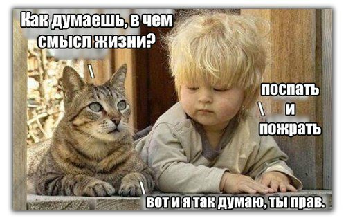 Просто добавь улыбку или пятничный девиз