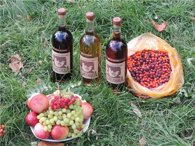 Рябиновый день — Куклы и тела Obitsu (Обитсу): 1/6 (фото 5)