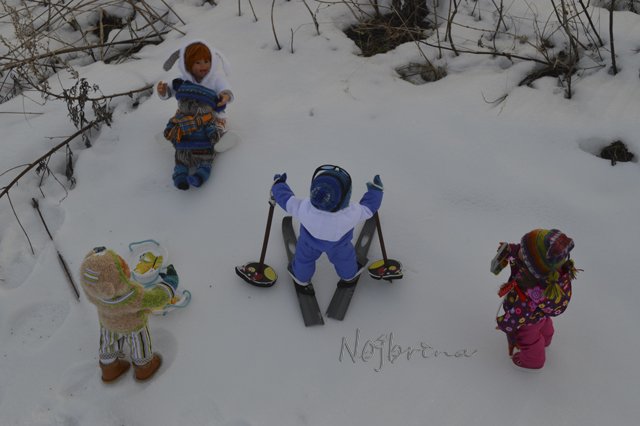 Двое в санках, не считая кота...Вихтели Rosemarie Anna Muller