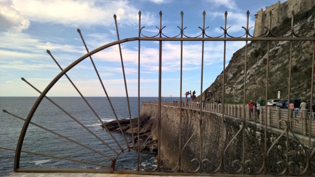 Пегий пёс, бегущий краем моря