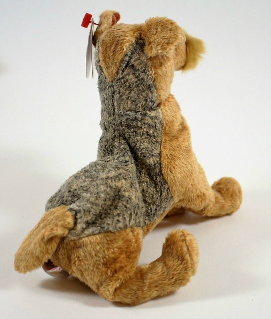 Пегий пёс, бегущий краем моря