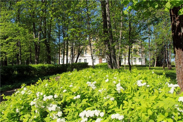 Субботний вояж. Часть вторая | Бэйбики Субботний вояж. Часть вторая