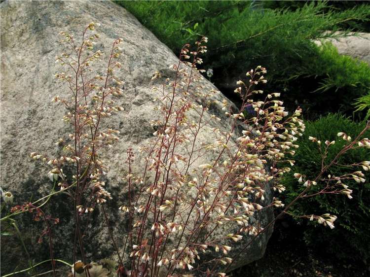 Кашин - город русского сердца. Часть седьмая. Вознесенский кафедральный собор