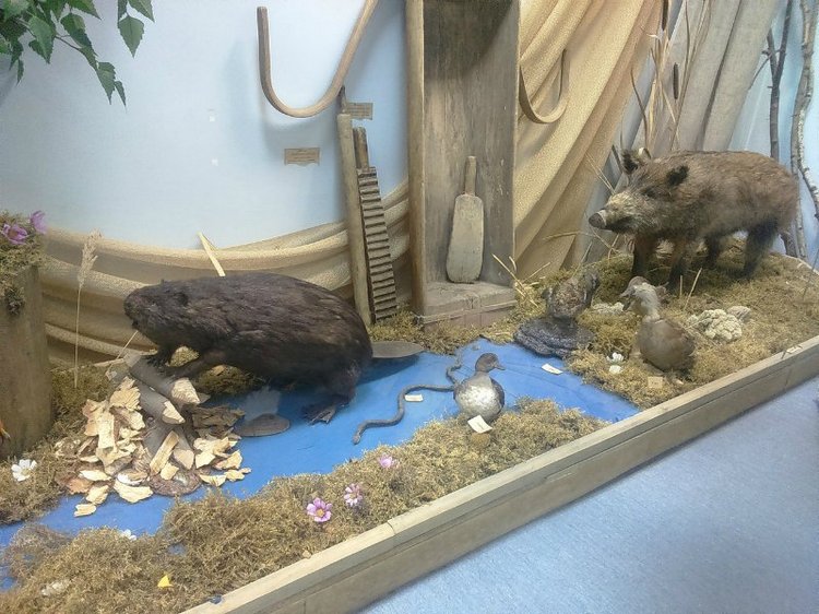 Воткинск — родина гения музыки Петра Ильича Чайковского. Часть 3 (фото 4)