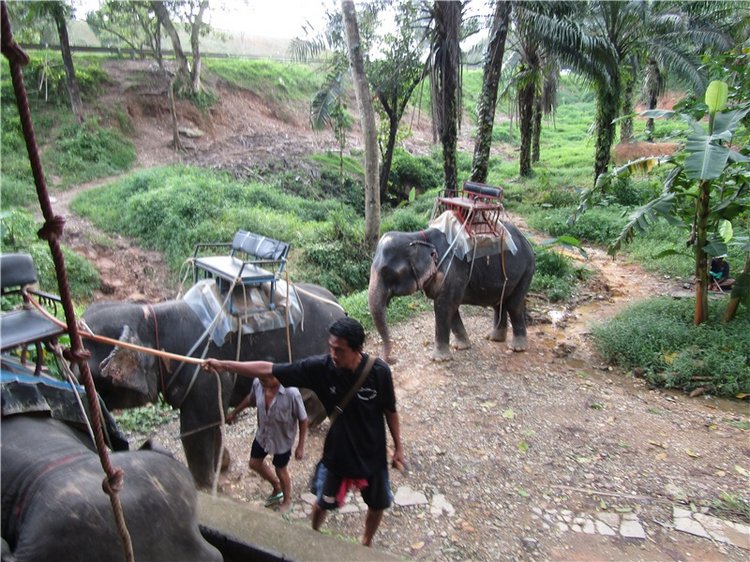 Семь слонов счастья — Туризм и путешествия: фотоотчеты из поездок
