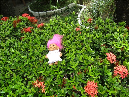 Тайланд Вам рад - на чудеса богат