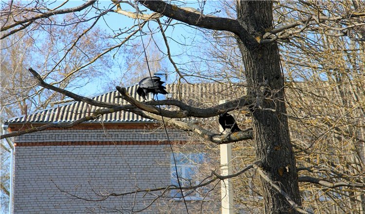 Путешествие в Бежецк, заключительная часть