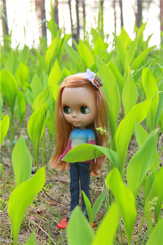 Блайзочки на природе — Оригинальные куклы Blythe (Блайз): Takara