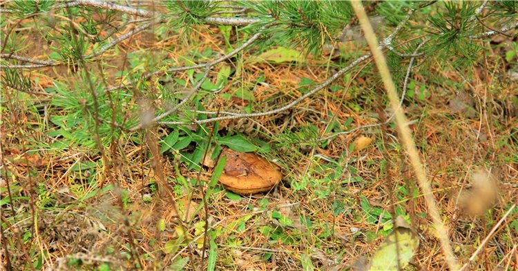 Тверской Водопад — Туризм и путешествия: фотоотчеты из поездок