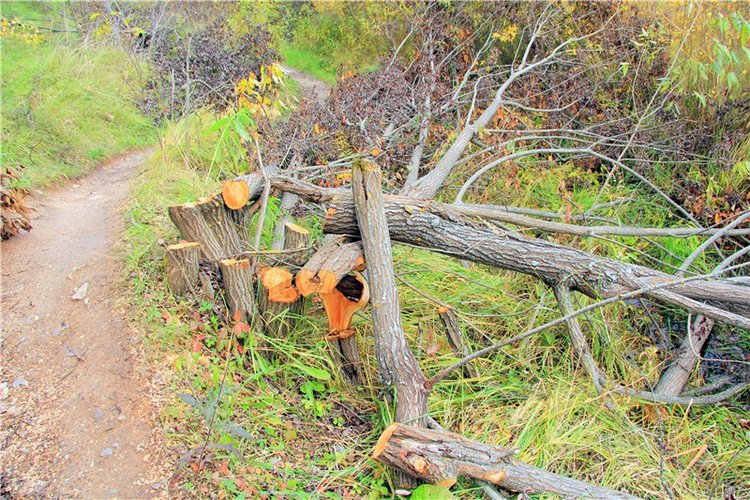 Тверской Водопад — Туризм и путешествия: фотоотчеты из поездок