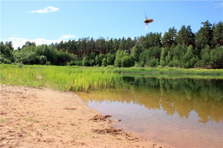 Просто Соня. Уникальные куклы от Сильвии Наттерер | Бэйбики Просто Соня. Уникальные куклы от Сильвии Наттерер