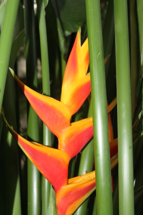 По Германии: зоопарк Лейпцига, часть 2