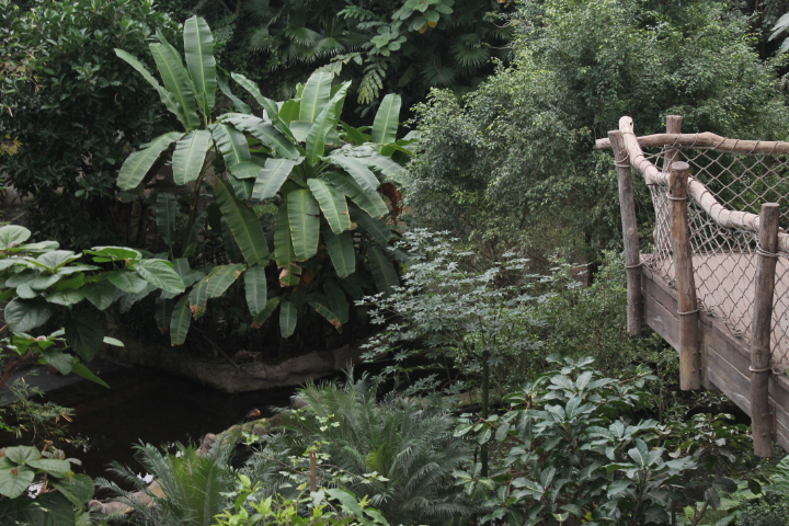 По Германии: зоопарк Лейпцига, часть 2