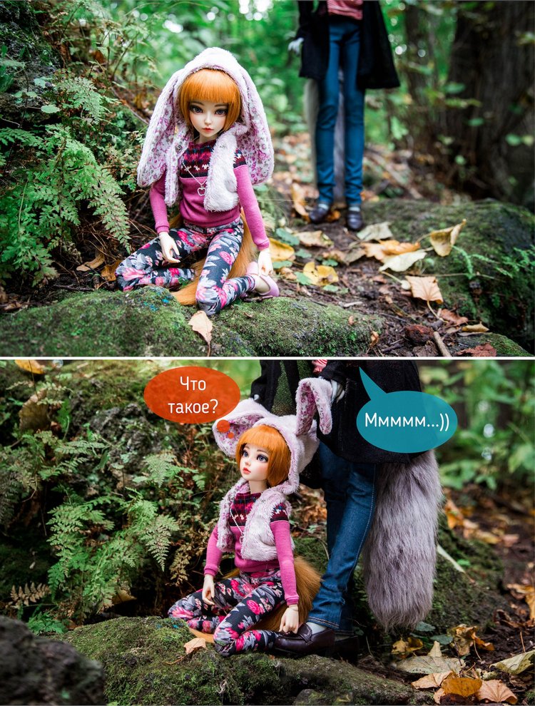 Лисьи приключения: Кролик, или лис - вот в чём вопрос (фото 10)