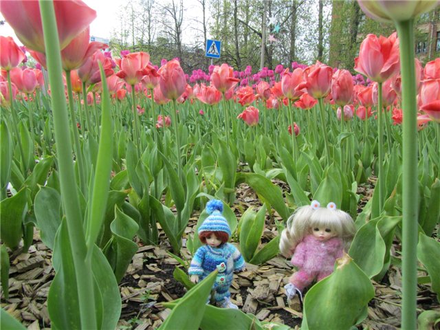 Весенний день... или как девочки ходили на пикник.№1 (фото 2)