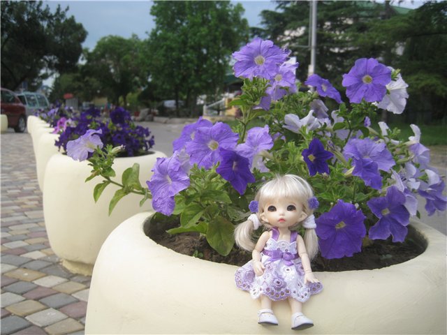 Летний отдых на море БЖДешечки Элис