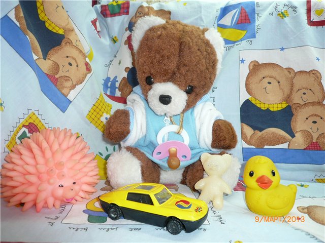 Мой Мишка приехал! Первые часы в любящей доме (фото 10)