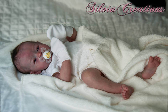 Новый молд Will от Натали Шолль