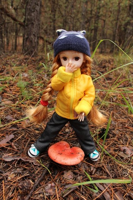 По грибы. Бузулукский бор