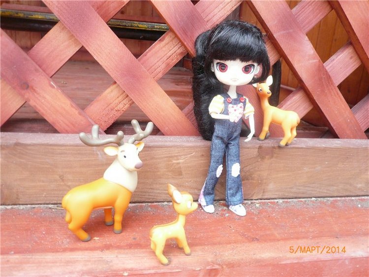 Люсенька - куколка Dal — Куклы Pullip (Пуллип)