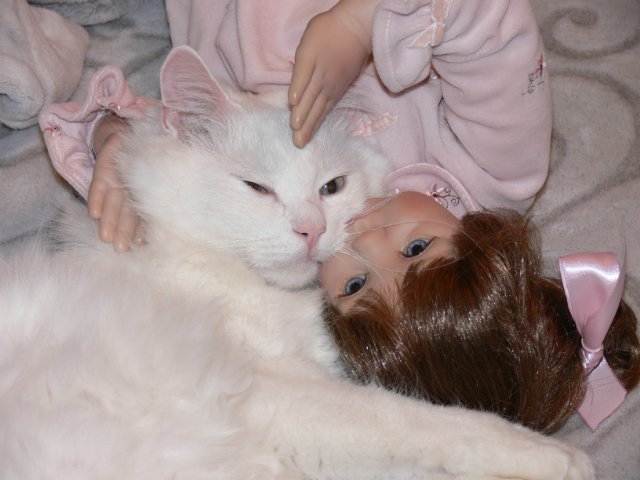 Интересно, кто кого больше любит