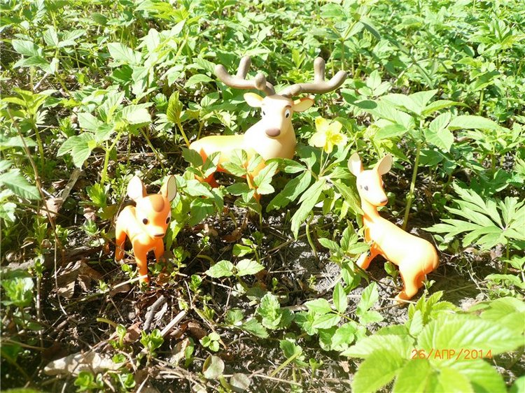 Про Мишку. Коллекционный Мишка Панда от Charlie Bears