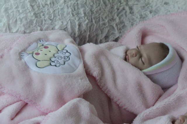 Одинаковые дочки... Куколки реборн Виктории Вишни