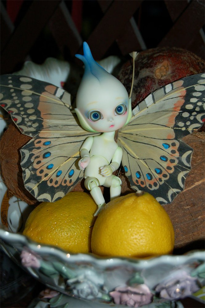 Цветы Dollzone, продолжение (фото 7)