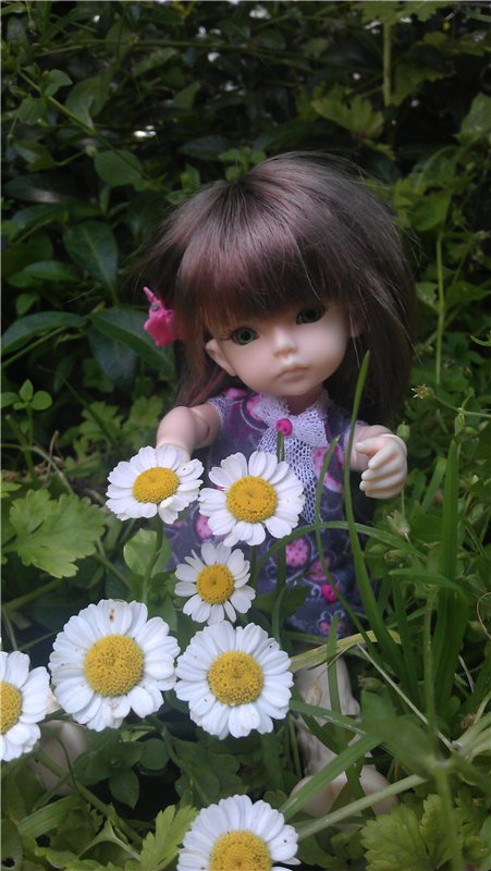 Маленький парк — Куклы Dollzone (Доллзон): BJD (БЖД)