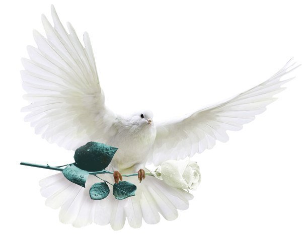 Пусть всегда будет солнце. Куколки Бердины Криди и Хайди Плусчок на утреннике | Бэйбики Пусть всегда будет солнце. Куколки Бердины Криди и Хайди Плусчок на утреннике