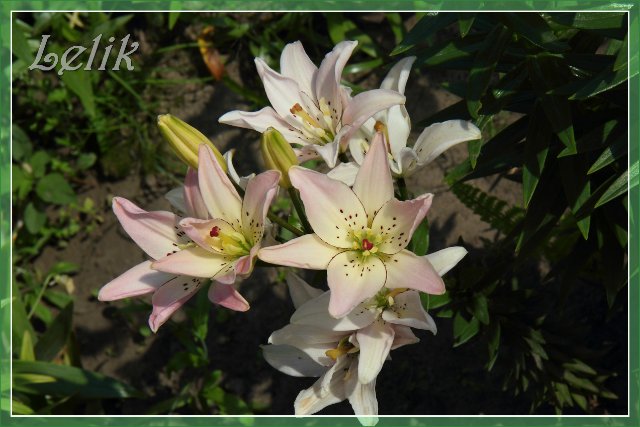 Цветочный рай, или новый наряд Ульяны (Pipa 2003 года, Gotz) | Бэйбики Цветочный рай, или новый наряд Ульяны (Pipa 2003 года, Gotz)