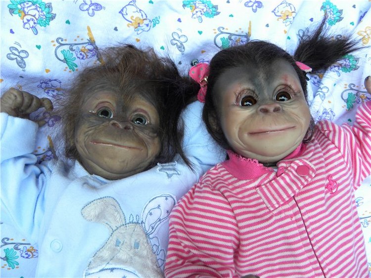 Необычное пополнение в моем доме