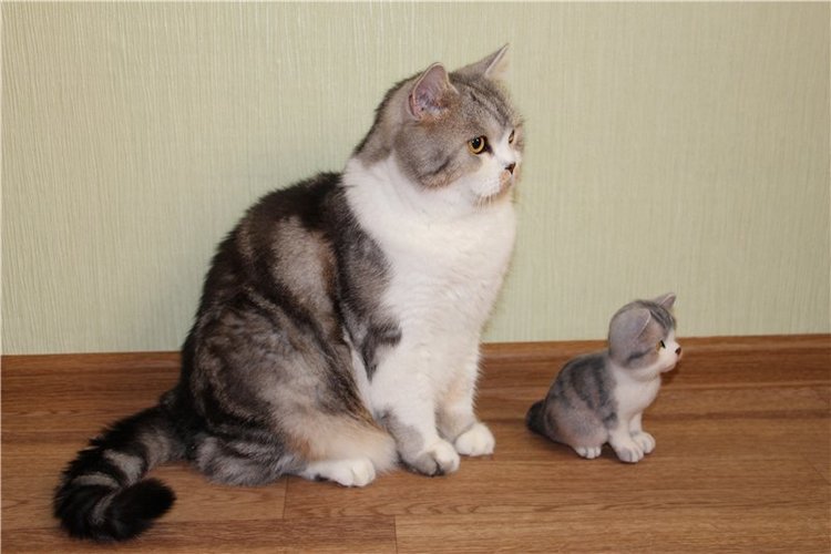 Котик Дени. Авторская игрушка Анны Ястрежембовской