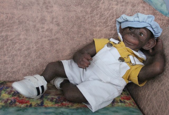 Гога, он же Гоша,он же Гора, он же Жора, здесь проживает? кукла реборн Элины Кудрявцевой