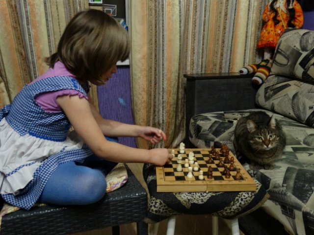 Дети, котики и куклы - наши главные радости (фото 5)