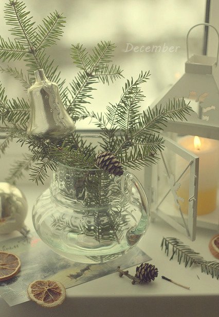 Чудесные новогодние натюрморты